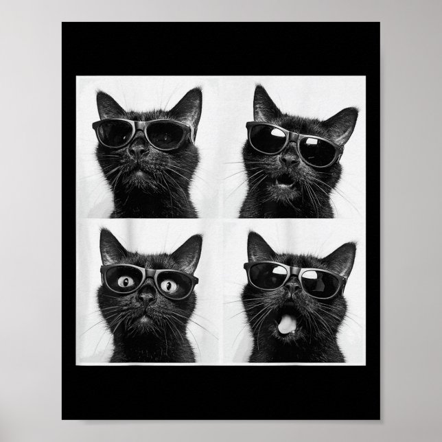 Funny Graphic Cat Photobooth Selfie Funny _5  Poster (Front)
