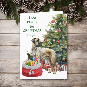Funny Great Dane Dog Ready for Christmas Holiday Card