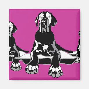 Funny Great Dane Ilios  Magnet