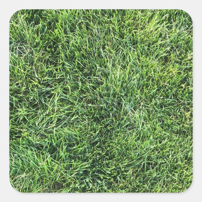 Funny green grass real photo texture pattern fun square sticker (Front)