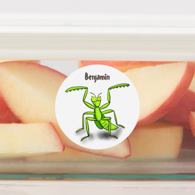 Funny green praying mantis cartoon illustration (Affixed)