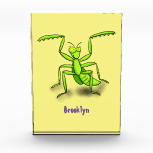 Funny green praying mantis cartoon illustration photo block
