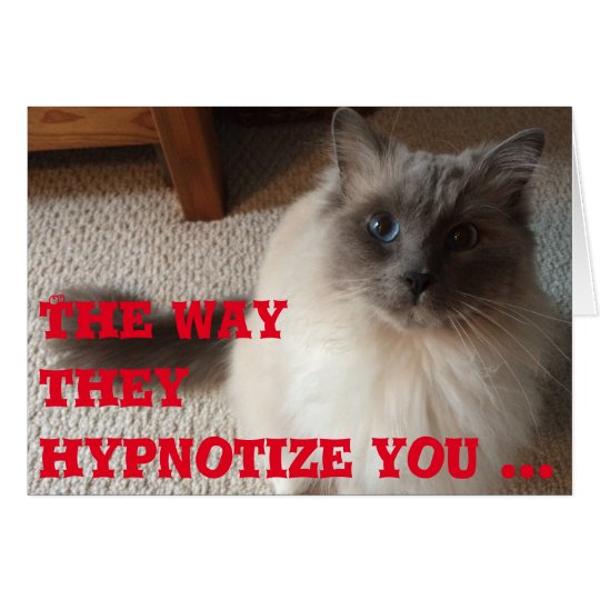 Funny Greeting Card