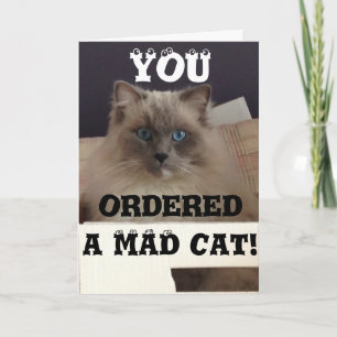 Funny Greeting Card