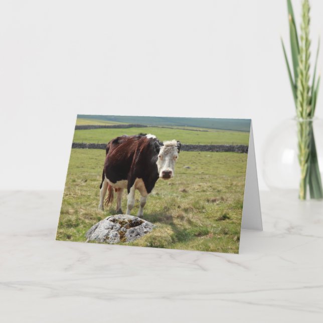 Funny greetings card (Front)