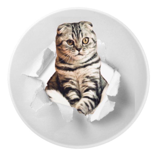 Funny Grey Cat Popping thru Torn Paper Illusion  Ceramic Knob (Front)
