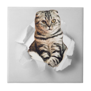 Funny Grey Cat Popping thru Torn Paper Illusion Ceramic Tile