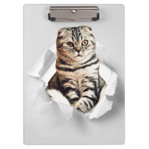 Funny Grey Cat Popping thru Torn Paper Illusion  Clipboard
