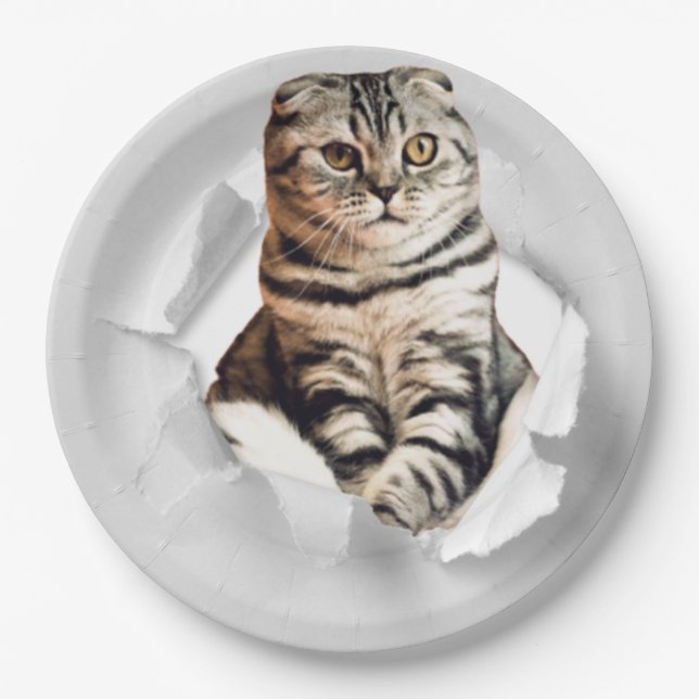 Funny Grey Cat Popping thru Torn Paper Illusion Paper Plate (Front)