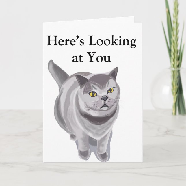 Funny grey fat cat card (Front)