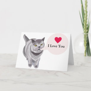 Funny grey fat cat Valentine’s  Card