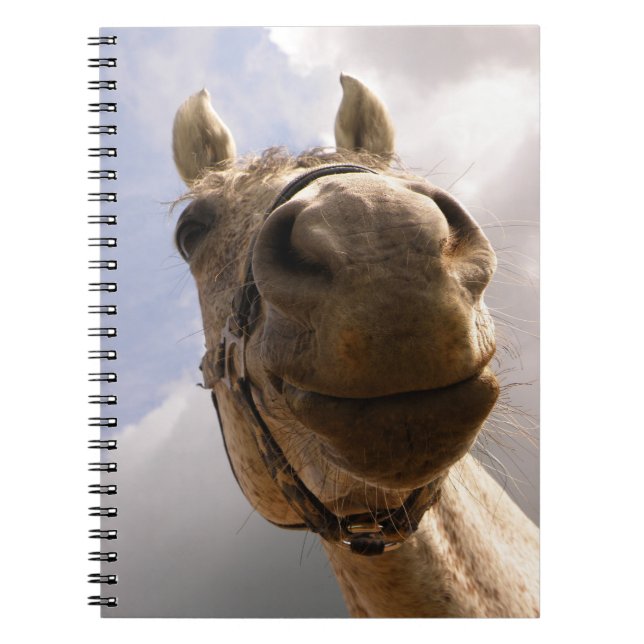 Funny Grey Horse Nose Close Up Notebook (Front)