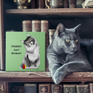 Funny Grey Maine Coon Cat Fixed Ceramic Tile