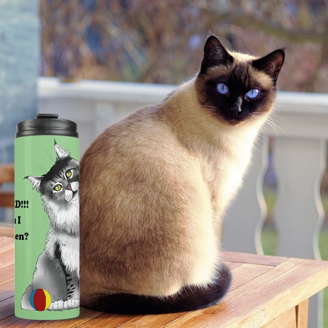Funny Grey Maine Coon Cat Fixed Thermal Tumbler (Creator Uploaded)