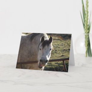 Funny Grey Mare Card
