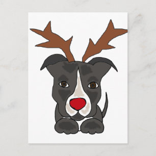 Funny Grey Pitbull Dog as Christmas Reindeer Holiday Postcard