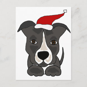 Funny Grey Pitbull in Santa Hat Christmas Art Holiday Postcard