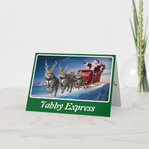 Funny Grey Tabby Christmas Card