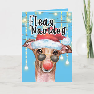 Funny Greyhound Santa dog Christmas fleas navidog Card