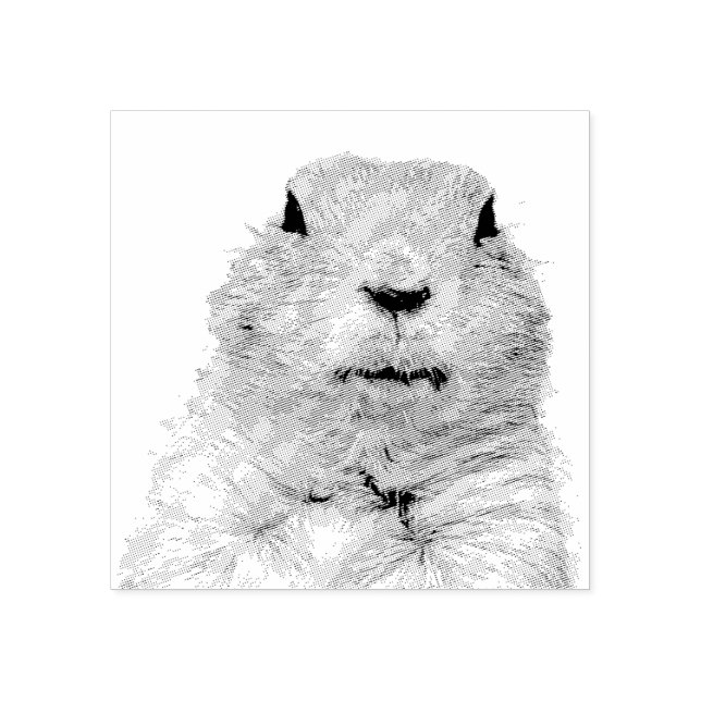 Funny Ground Hog Woodchuck Rubber Stamp (Imprint)