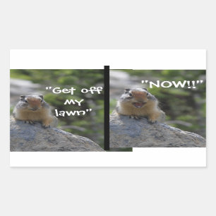 Funny Ground Squirrel Get off my Lawn Rectangular Sticker