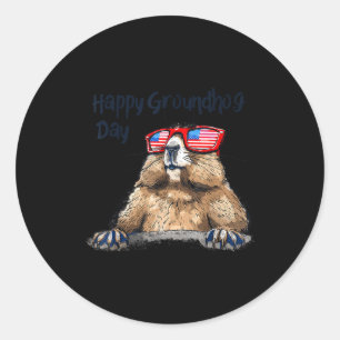 Funny Groundhog Day Decorations 2025 Groundhog Day Classic Round Sticker
