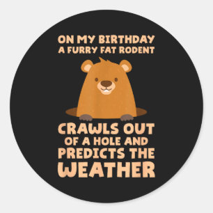Funny Groundhog On My Birthday A Furry Fat Rodent Classic Round Sticker