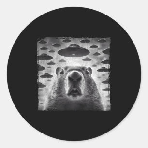 Funny Groundhog Selfie With Alien Ufos Groundhog D Classic Round Sticker