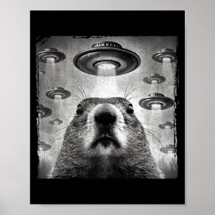 Funny Groundhog Selfie With Alien Ufos Groundhog D Poster
