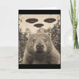 Funny Groundhog Selfie With Ufos Weird Groundhog Card