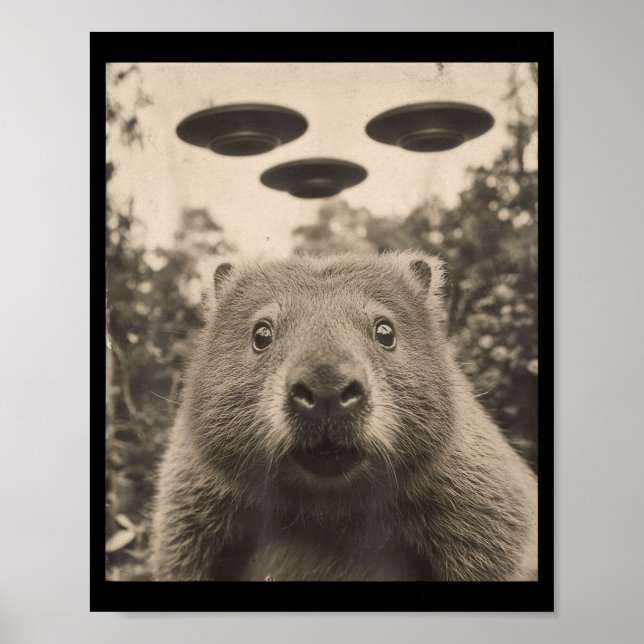 Funny Groundhog Selfie With Ufos Weird Groundhog  Poster (Front)