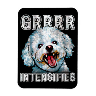Funny Grrrr Intensifies Bichon Frise Dog Meme Magnet