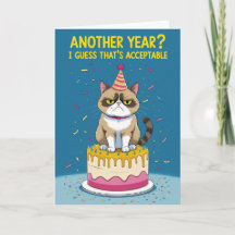 Funny Grumpy Cat – Another Year? I Guess That’s