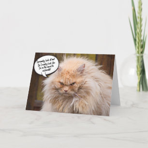 Funny Grumpy Cat Birthday Greeting Card 
