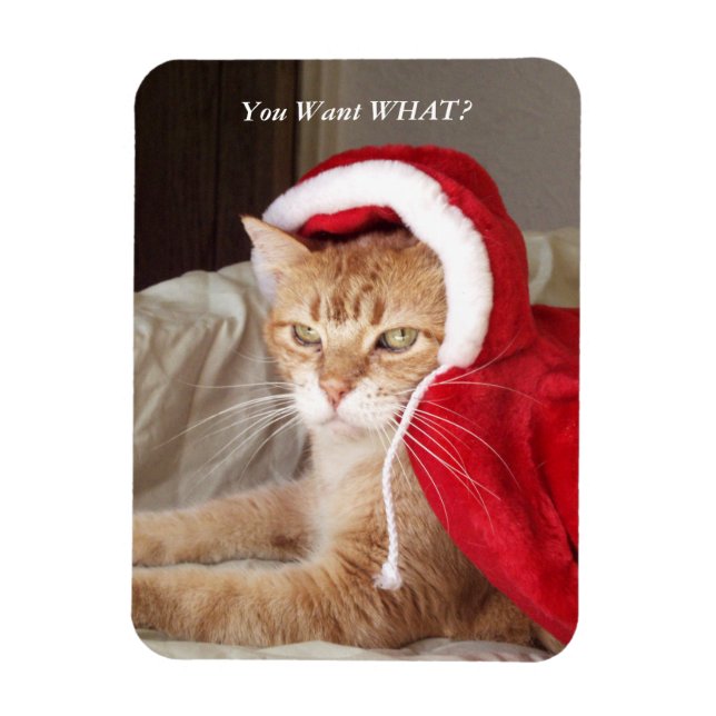 Funny Grumpy Cat Christmas Magnet Humourous (Vertical)