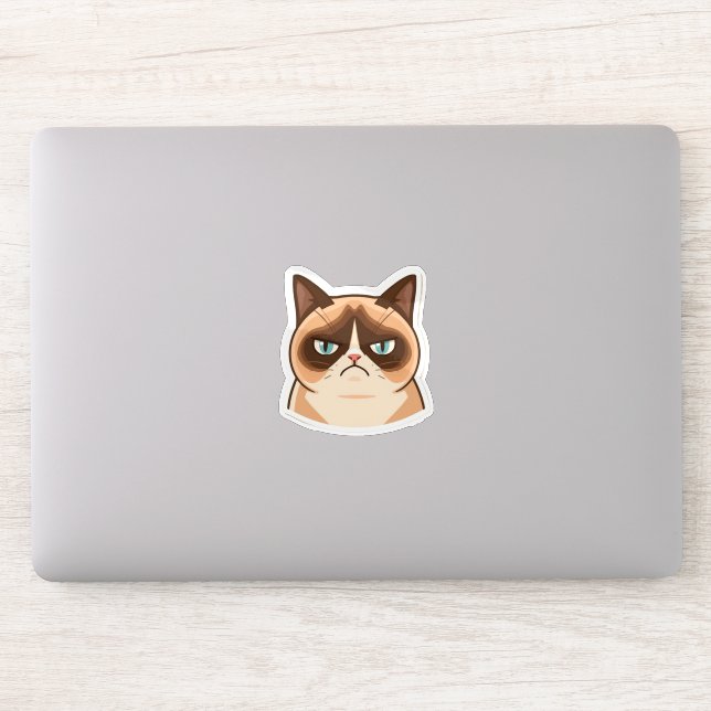 Funny Grumpy Cat-Cute Kawaii Angry Cat Cartoon (Computer)