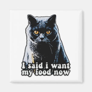 Funny Grumpy Cat Meme For Cat Owners And Lovers T Magnet