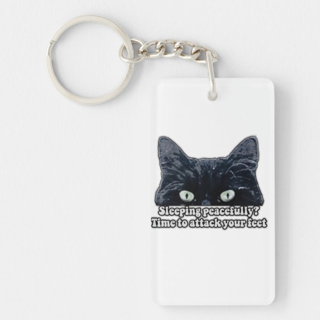 Funny grumpy cat meme for kitten owners &cat lover key ring (Front)