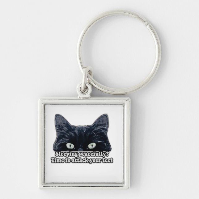 Funny grumpy cat meme for kitten owners &cat lover key ring (Front)