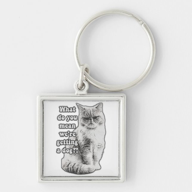 Funny grumpy cat meme for kitty lovers and owners key ring (Front)