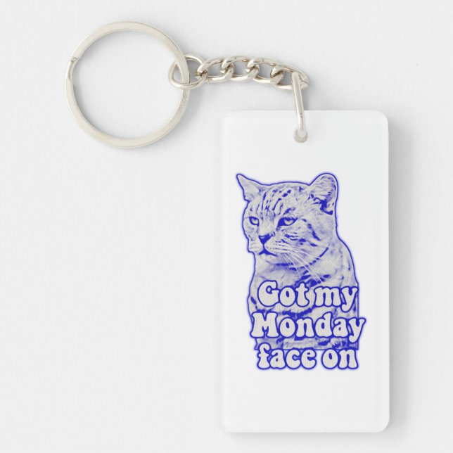 Funny grumpy cat meme for kitty persons and owners key ring (Front)