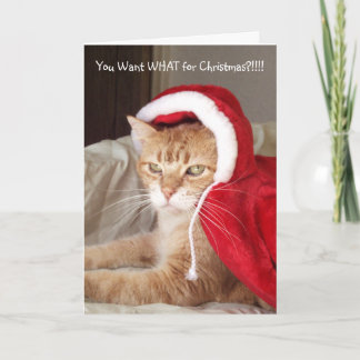 Funny Grumpy Ginger Cat Christmas Card Humour