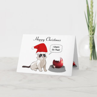 Funny Grumpy Kitten Christmas Card