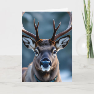 Funny Grumpy Reindeer Customizable Photo Christmas Card