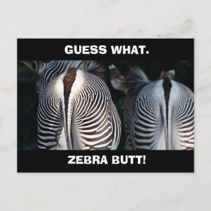 Funny Guess What Zebra Butt Wildlife Postcard