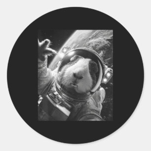 Funny Guinea Pig Astronaut Space Selfie Cosmic Rod Classic Round Sticker