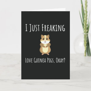 Funny Guinea Pig Cards Humourous Pet Animal