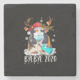Funny Guinea Pig Christmas Face Mask Bye Bye 2020 Stone Coaster