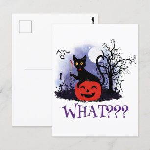Funny Halloween Bewitched Black Cat What? Postcard