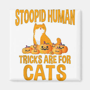 Funny Halloween Cat Pun Lantern Pumpkin Magnet